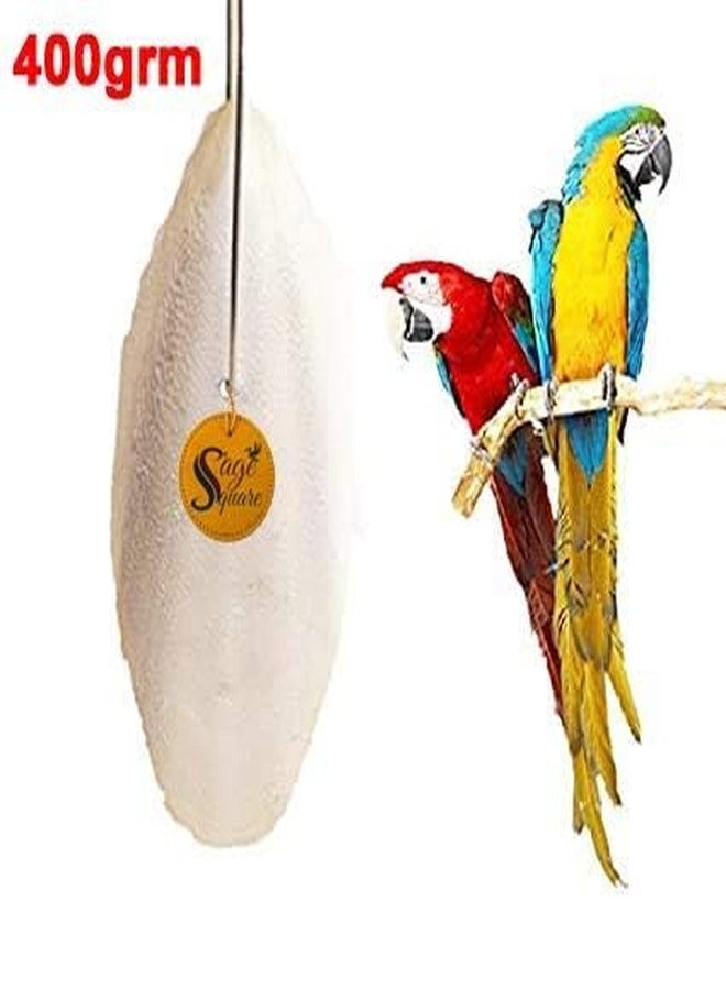 Sage Square Natural Calcium Source Cuttlebone Fish, Natural Mineral Block, Calcium, for Birds, Parrot (400grm) - Image 2